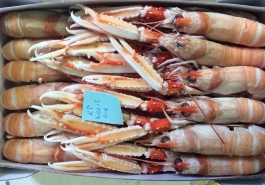 IMG-20150428-WA0006